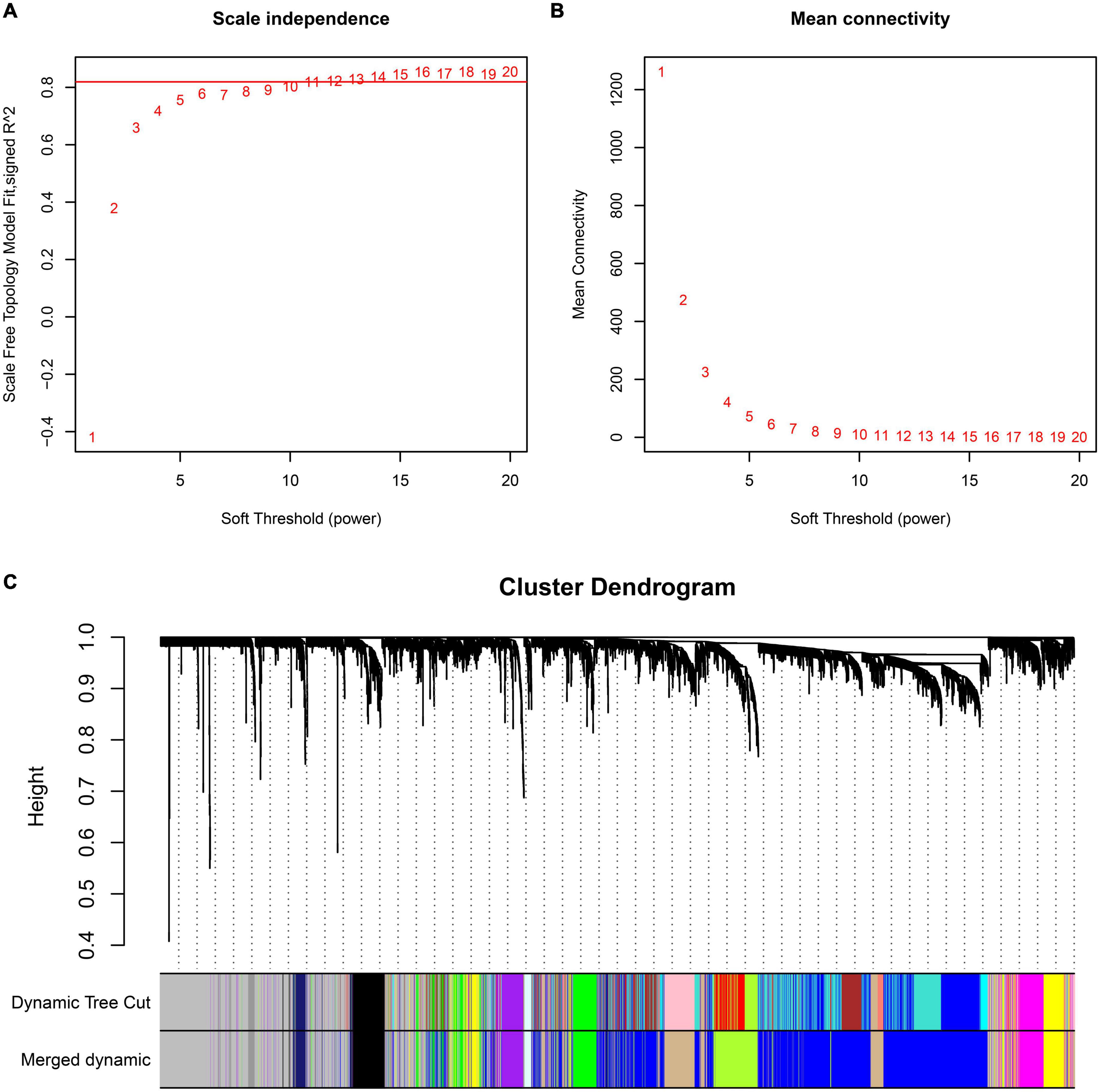 A computational approach based on weighted gene co-expression network analysis for biomarkers analysis of Parkinson’s disease and construction of diagnostic model